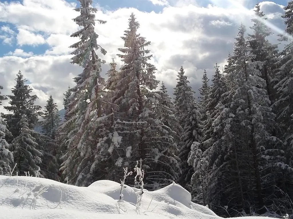 Landhotel Und Gasthof Kirchberger Wildsteig Hotel