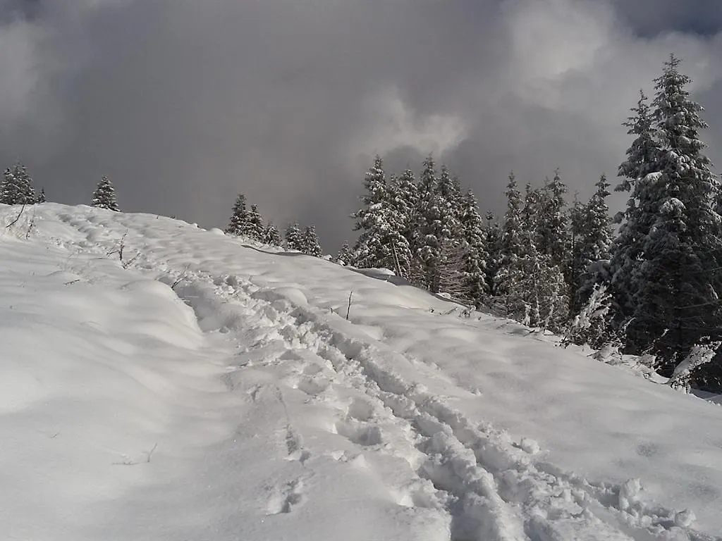 Landhotel Und Gasthof Kirchberger Wildsteig